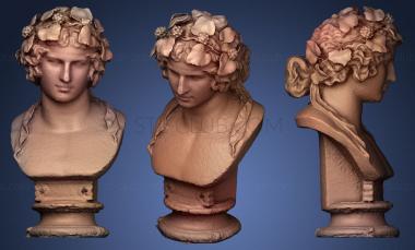 3D model Head of Antinous (STL)